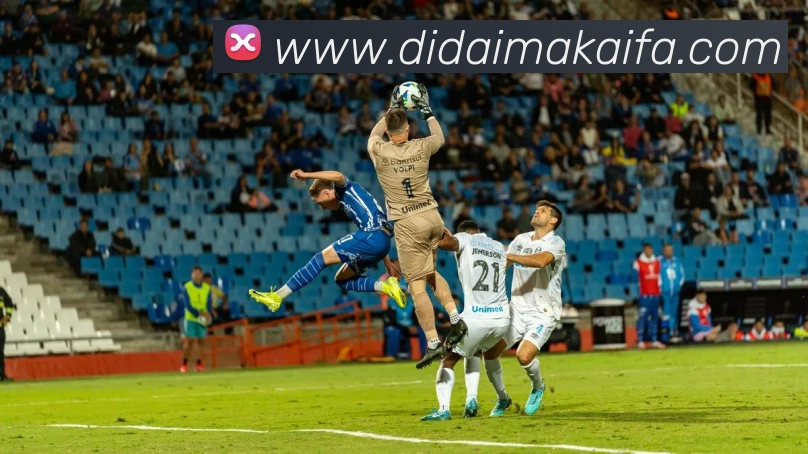 mk体育app官网登录入口APP 封面图